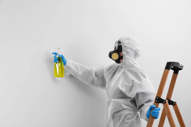 Why You Should Choose Our Mold Remediation Services in Calwa, CA